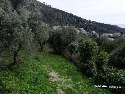 LAND FOR SALE – RUDINICE, PLUŽINE MUNICIPALITY