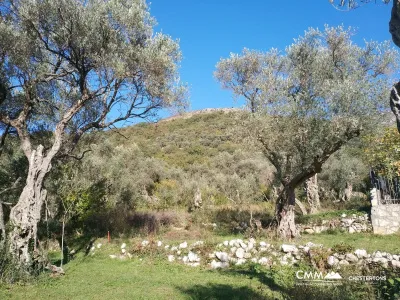 Urbanized plot for sale near the beach