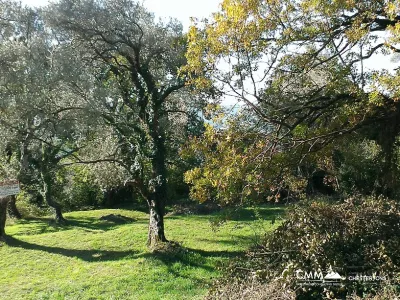 Land with view in Tivat