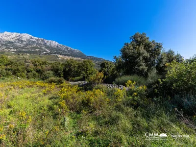 Plot in Bar-Pečurice 2003m²