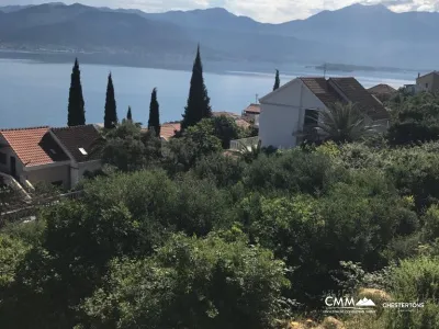 A plot in the village Krasici