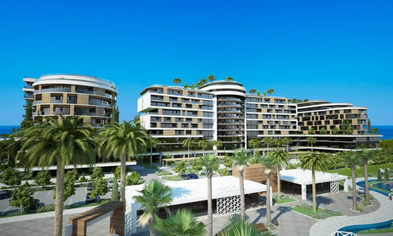 cmm-montenegro
