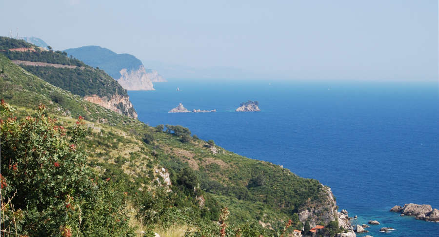 cmm-montenegro