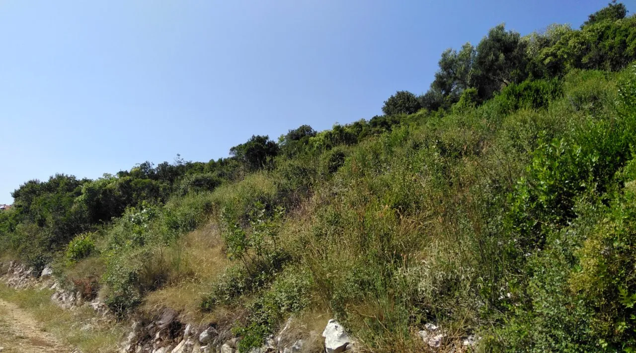 Plot in Dobre Vode