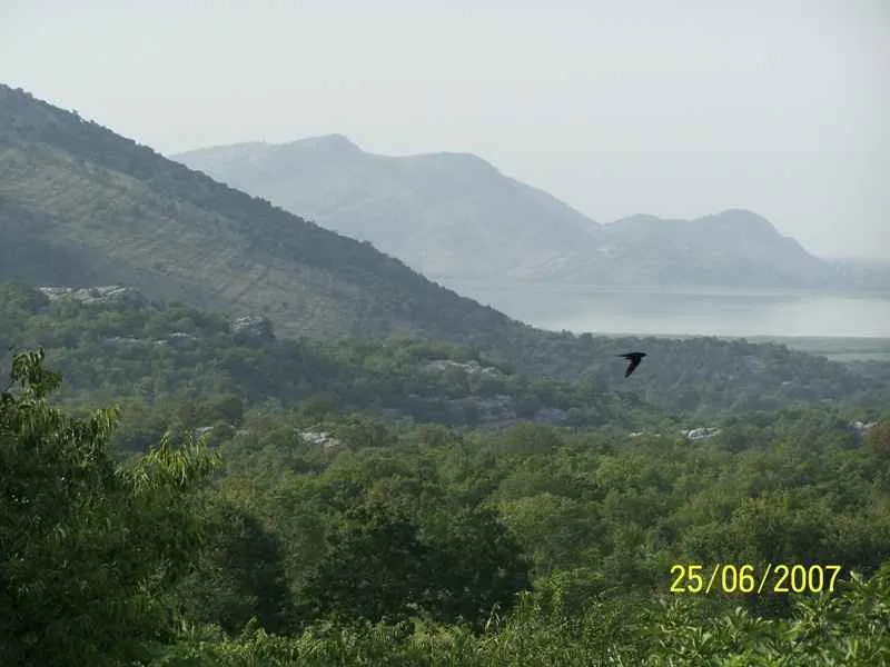 Plot in Podgorica 