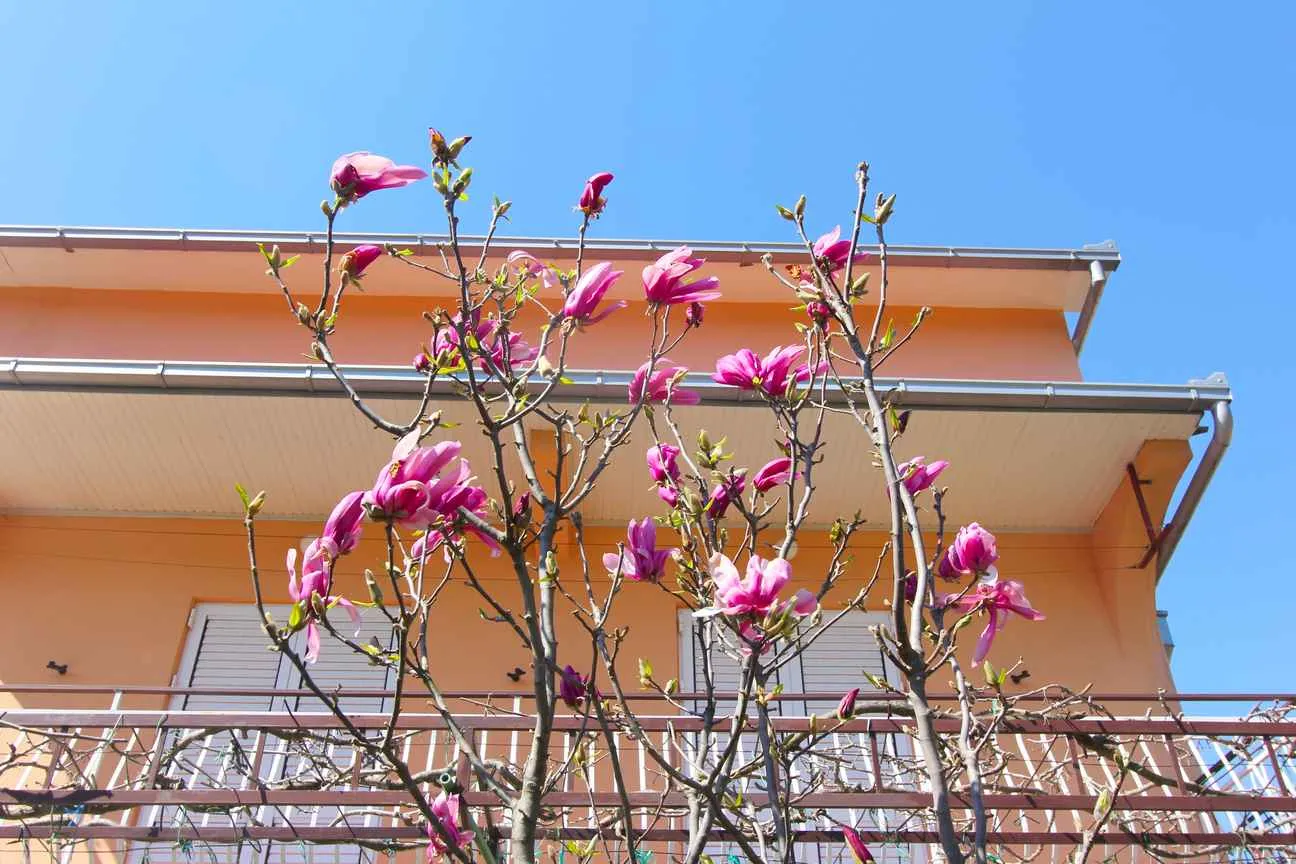 Three-story house in Herceg Novi 