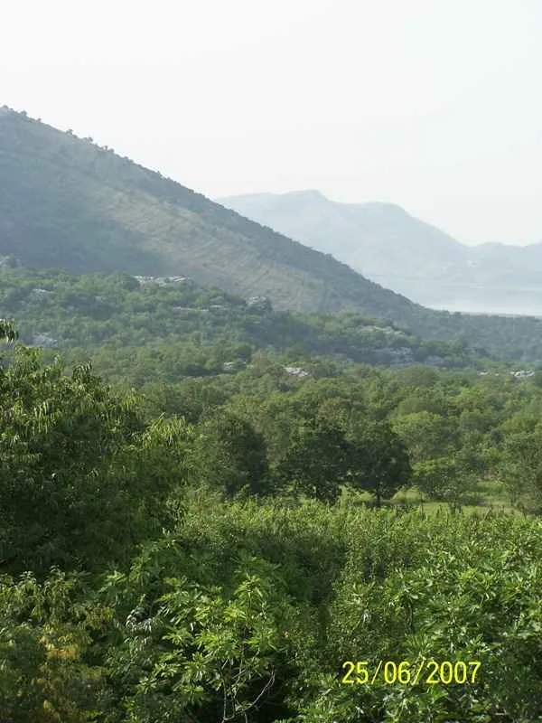 Plot in Podgorica 