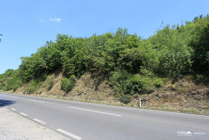 Plot in Radanovici