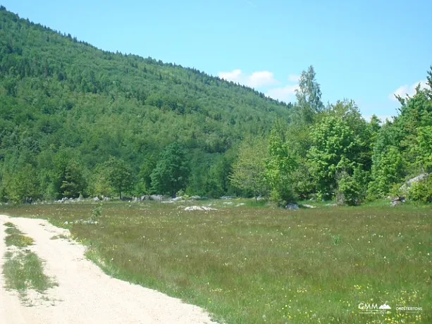LAND FOR SALE – RUDINICE, PLUŽINE MUNICIPALITY