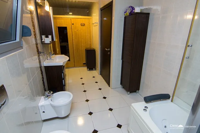 Luxury villa with pool in Budva