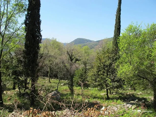 Land in Herceg Novi