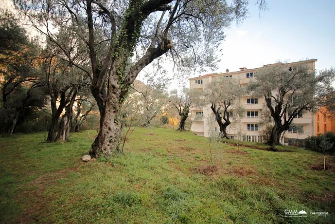 Plot in Petrovac
