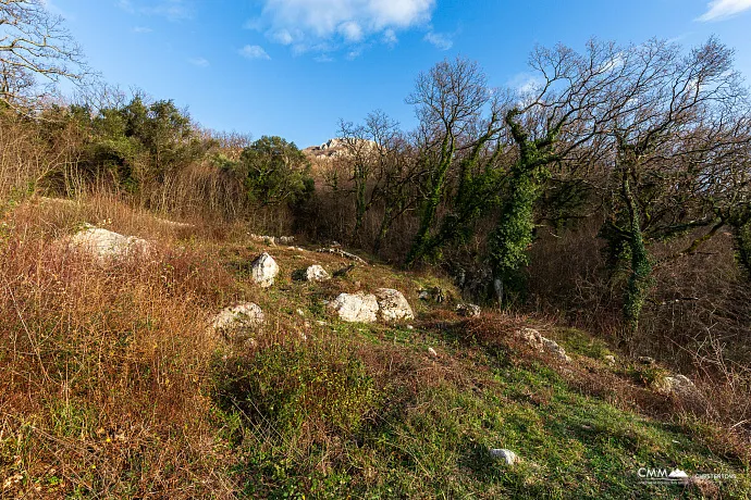 2170 m² Land in Kuljače