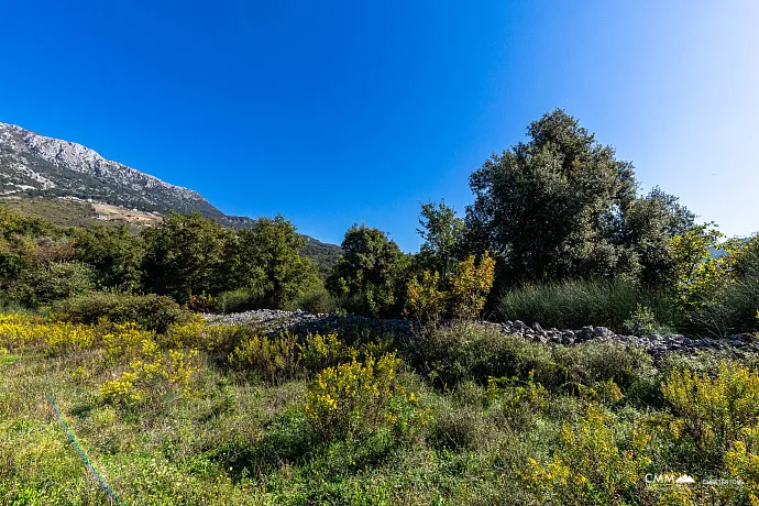 Plot in Bar-Pečurice 2003m²