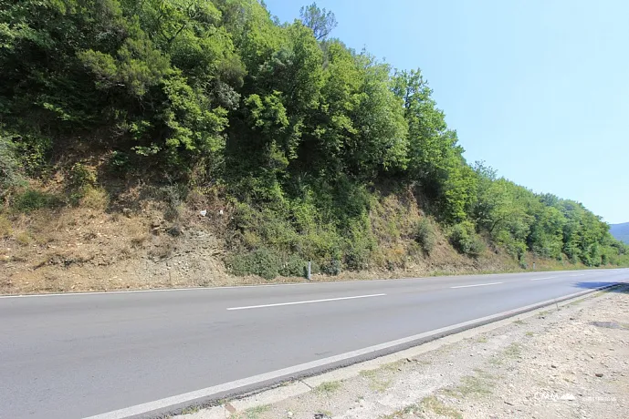Plot in Radanovici