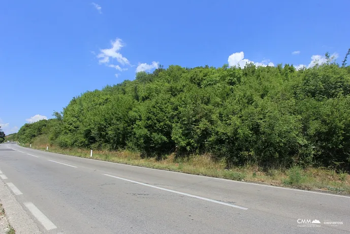Plot in Radanovici