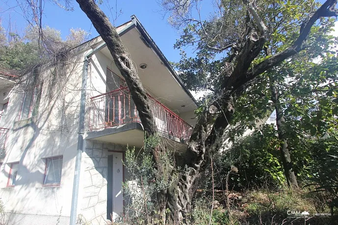 Two houses in Becici