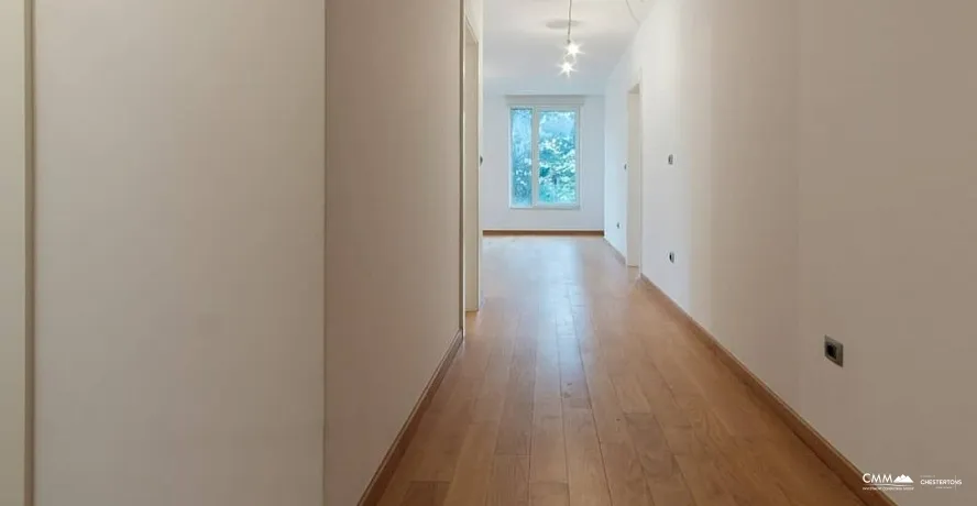 Three-bedroom apartment in the Luxury part of Podgorica