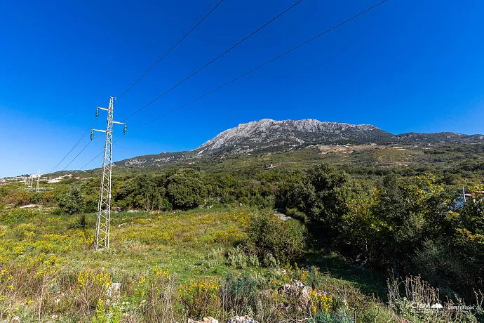 Plot in Bar-Pečurice 2003m²