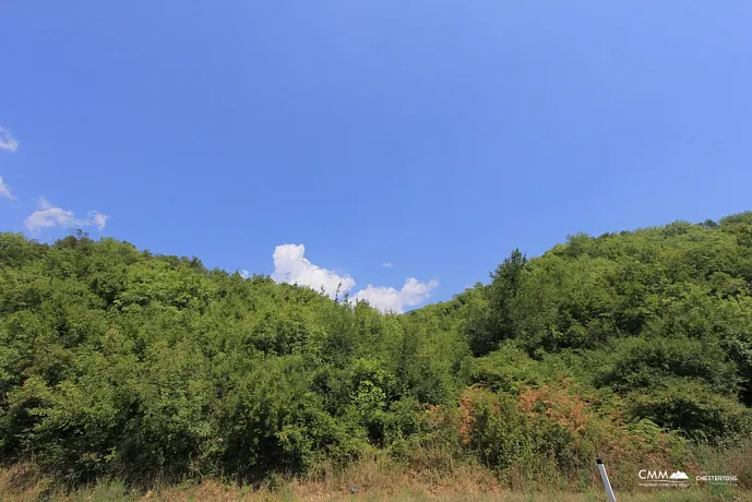 Plot in Radanovici