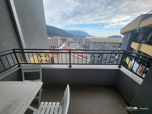 Spacious apartment in Budva with sea view