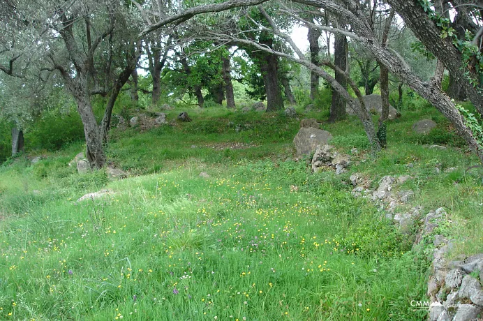 Land in Kotor