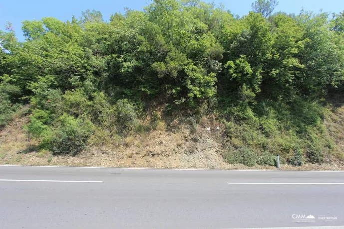 Plot in Radanovici