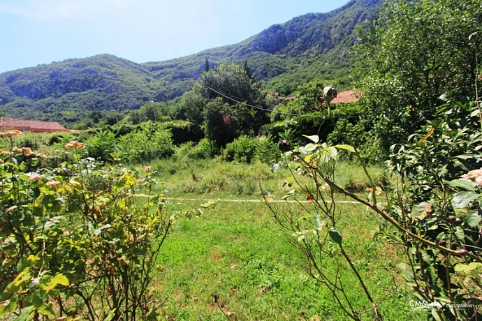 House in Kotor, Skaljari