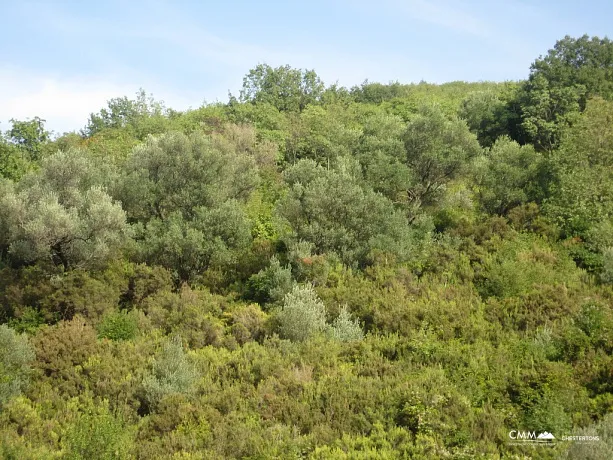 Land in Herceg Novi