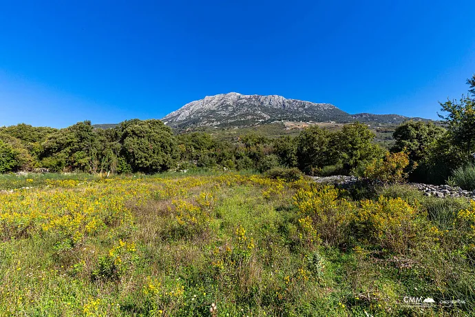 Plot in Bar-Pečurice 2003m²