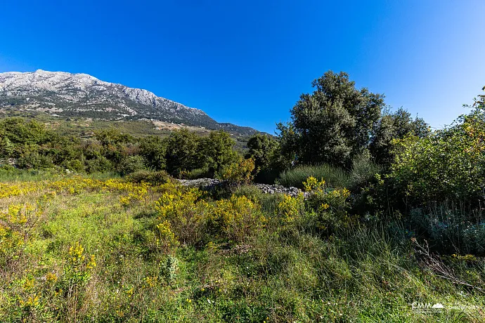 Plot in Bar-Pečurice 2003m²