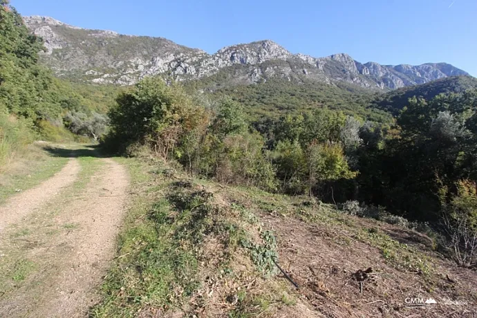 A plot with sea view in Budva