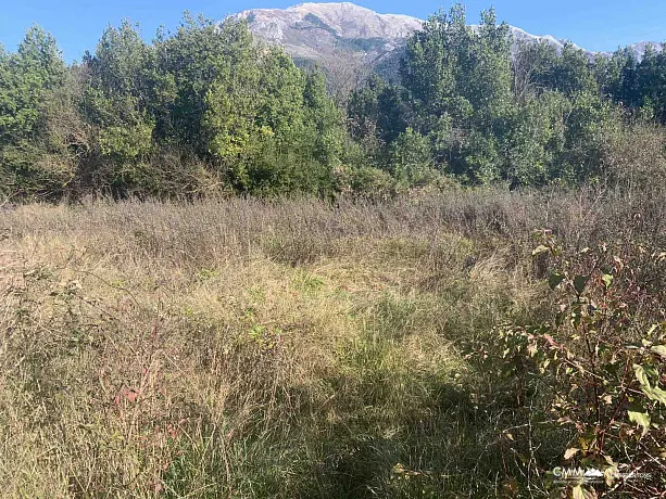 Urbanized plot near Kotor