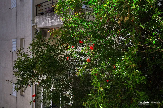 One-bedroom apartment in Babin Do