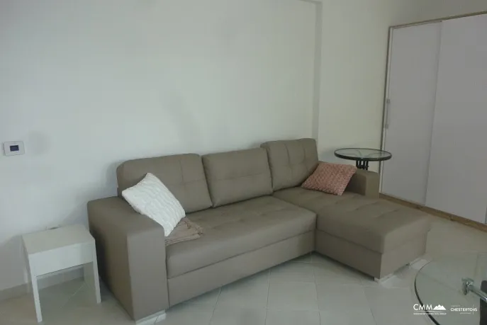 Spacious apartment in Rafailovici