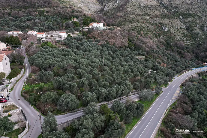 LAND FOR SALE – RUDINICE, PLUŽINE MUNICIPALITY