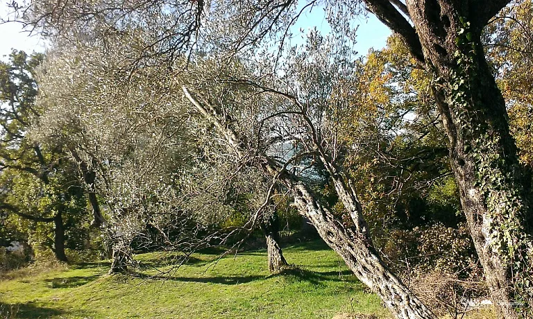 Land with view in Tivat