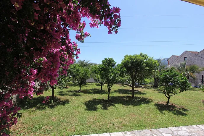 House in Herceg Novi with big garden