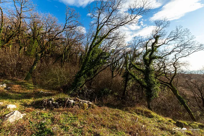 2170 m² Land in Kuljače