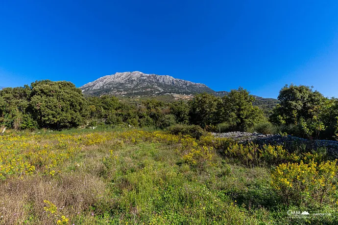 Plot in Bar-Pečurice 2003m²