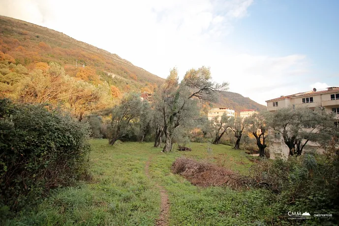 Plot in Petrovac