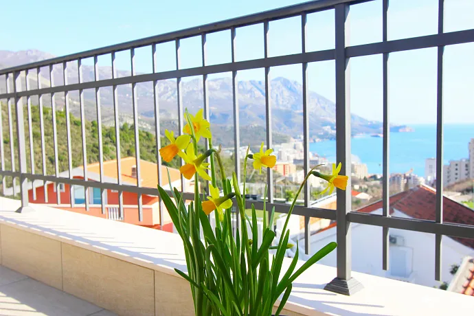 House with 5 separate apartments in Becici with sea view