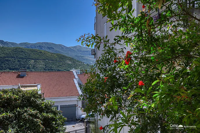 One-bedroom apartment in Babin Do
