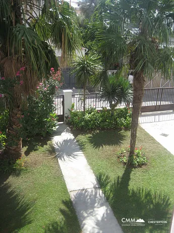 Spacious house surrounded by palm trees