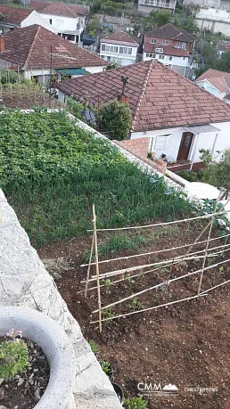 Plot in Zelenika
