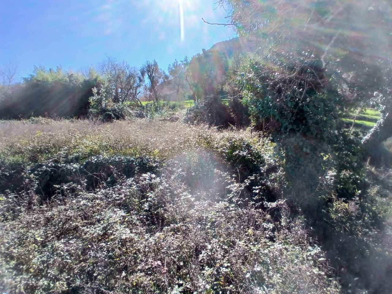 Plot 2,400 m² for Sale in Stoliv, Kotor – Near Hyatt Hotel