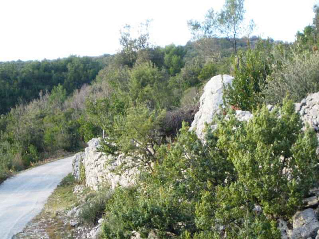 Land in Kotor with sea view — photo 4