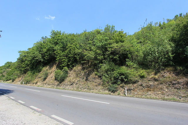Plot in Radanovici