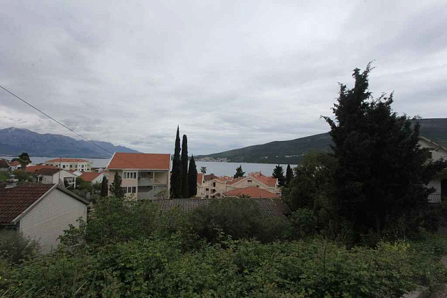 Plot in Djenovici