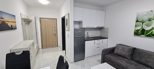 Comfortable studio with a large terrace